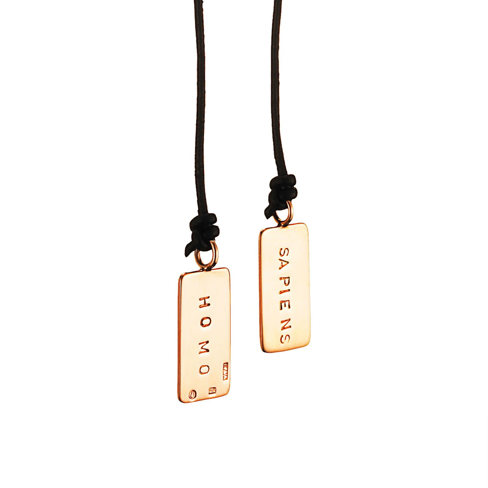 Efva Attling Homo Sapiens Necklace 60 - GULD