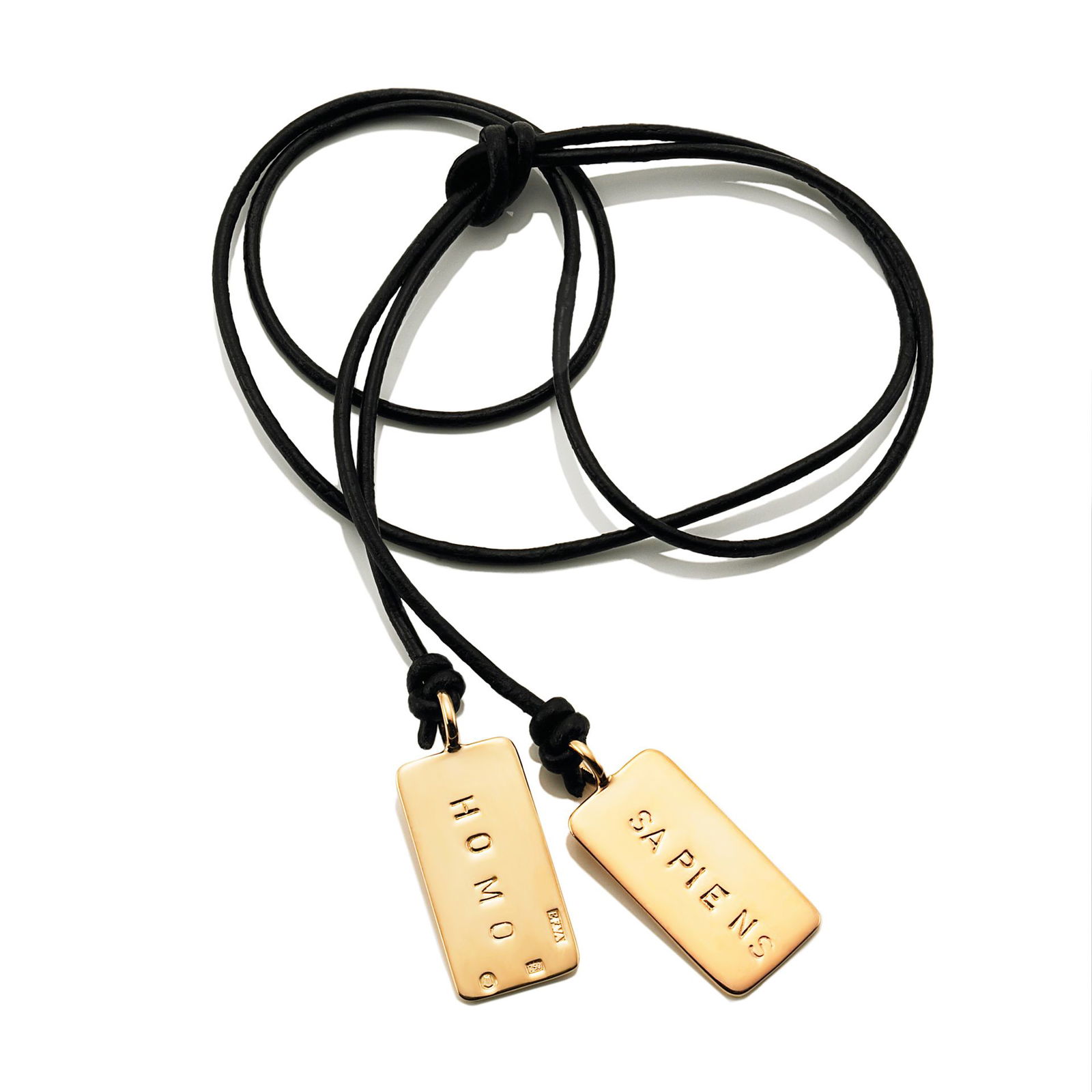 Homo Sapiens Necklace bild 3