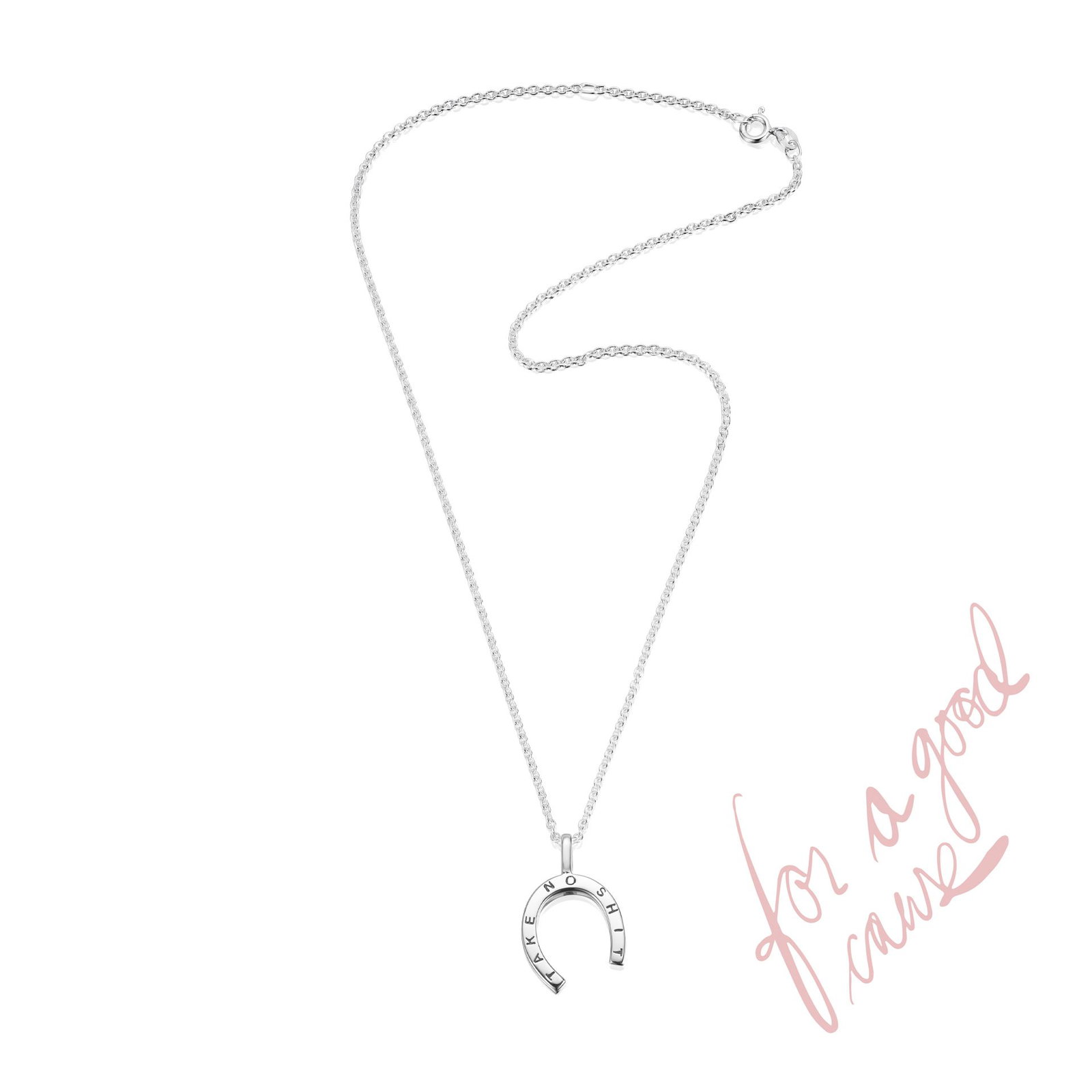 Take No Shit Pendant bild 6