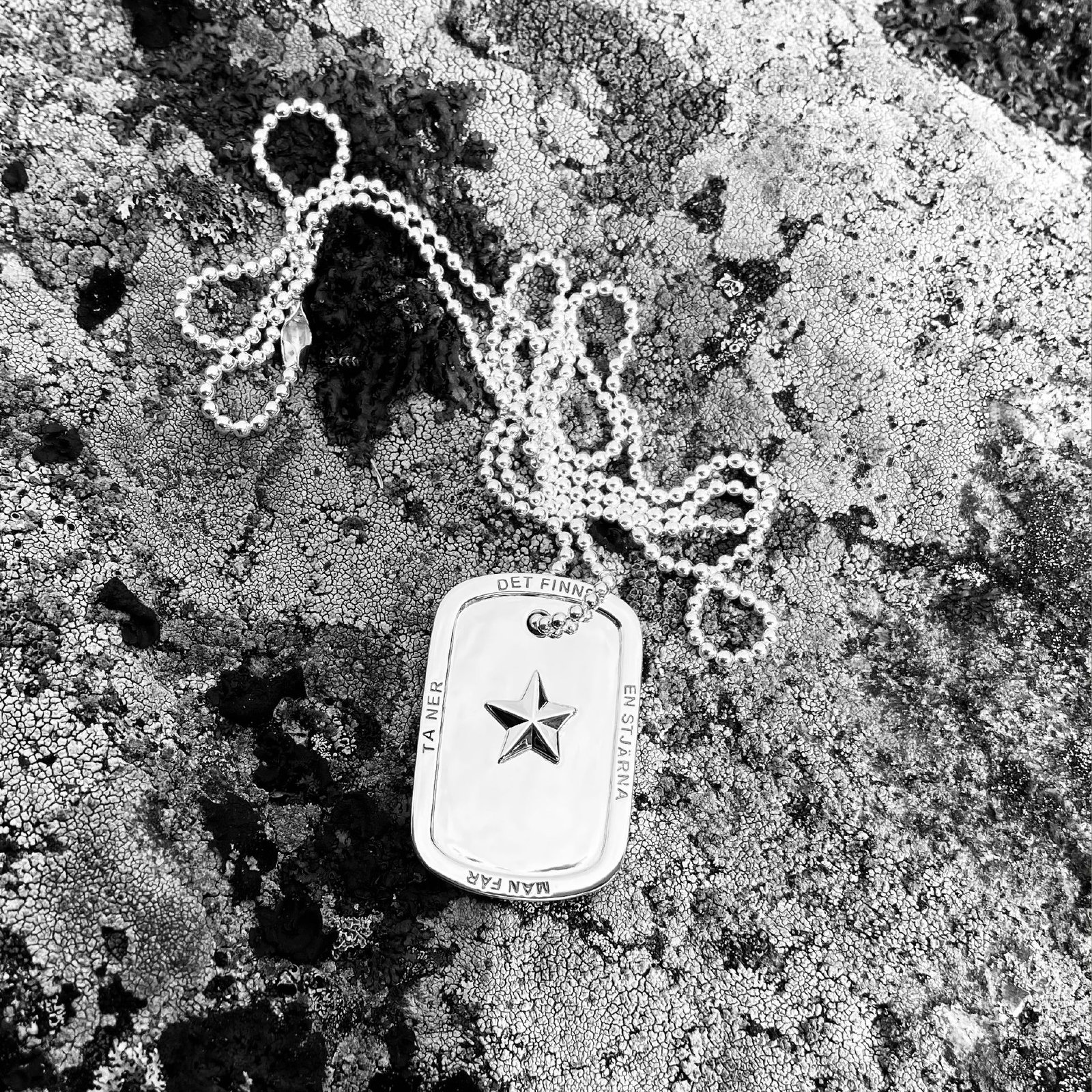 Det Finns En Stjärna Necklace