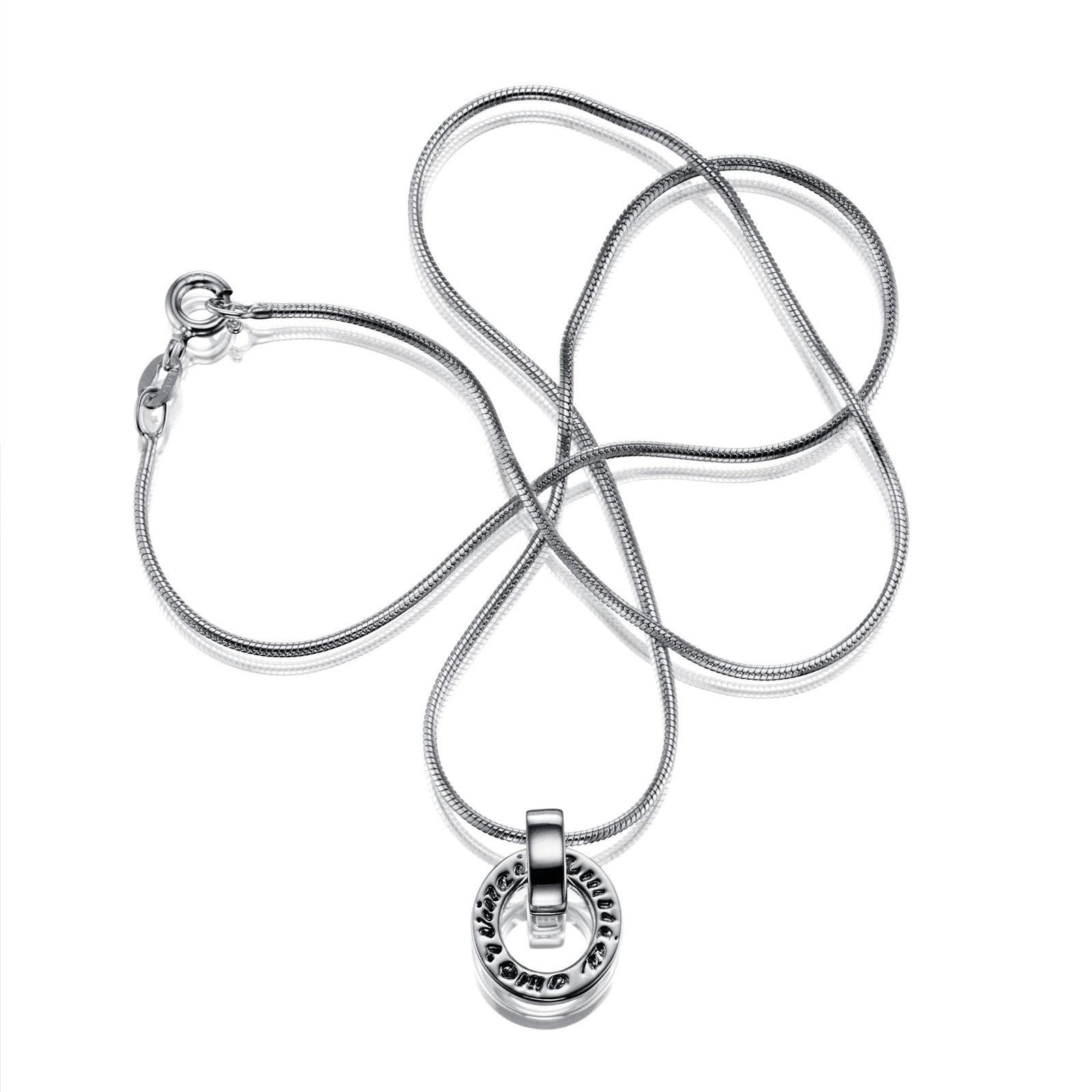 Ring Around Pendant - Amor Vincit Omnia bild 3