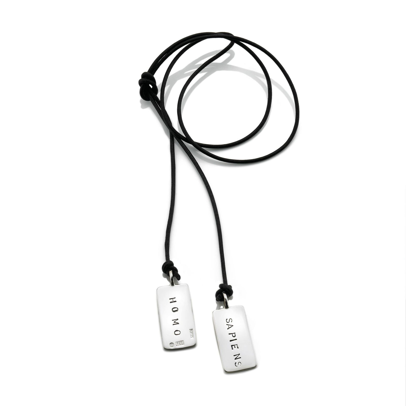 Homo Sapiens Necklace bild 3