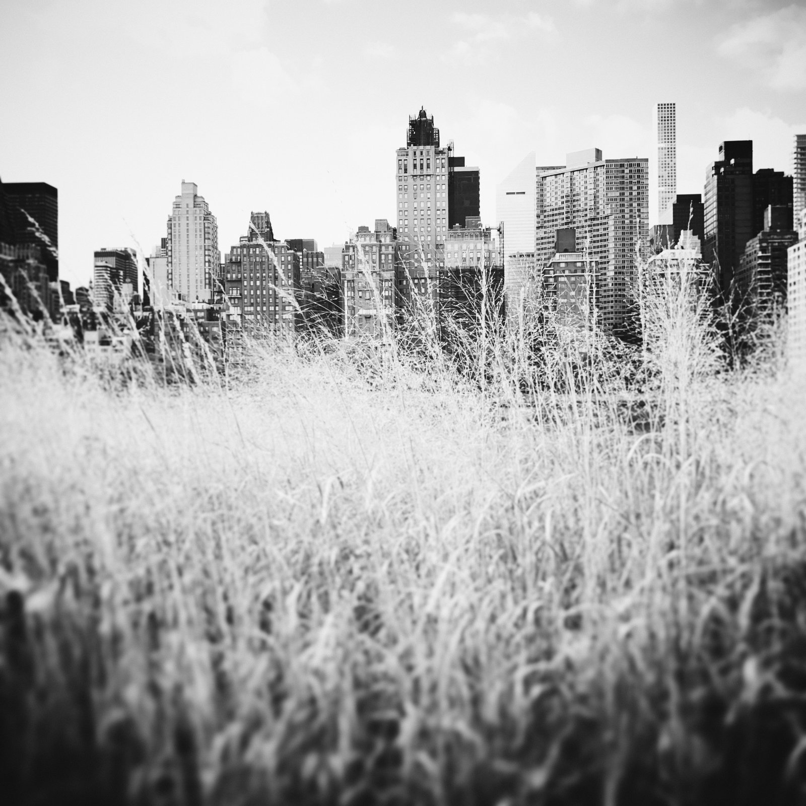 Efva Attling New York Grass. 50 X 50 CM - ÖVRIGT