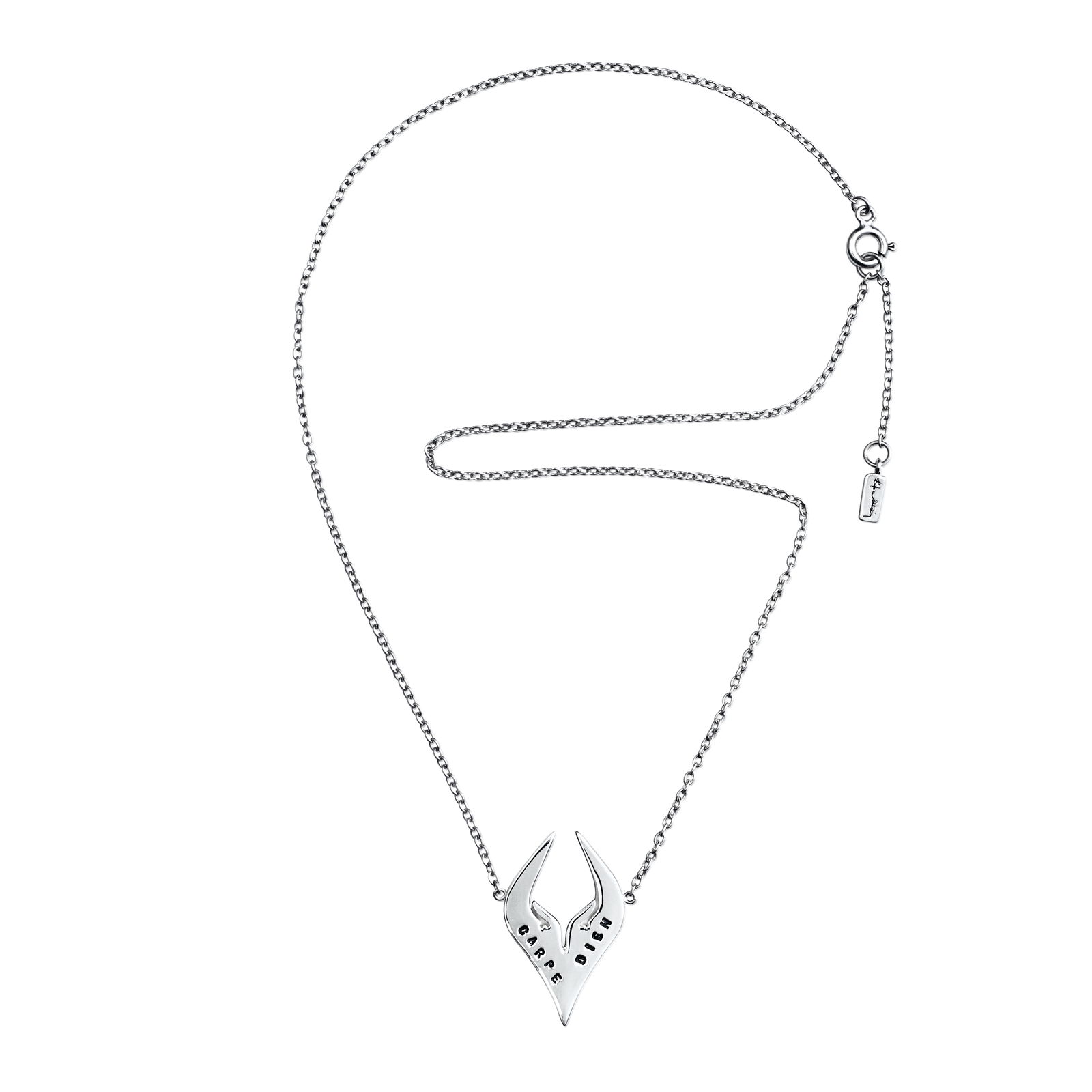 Carpe Diem Necklace bild 3