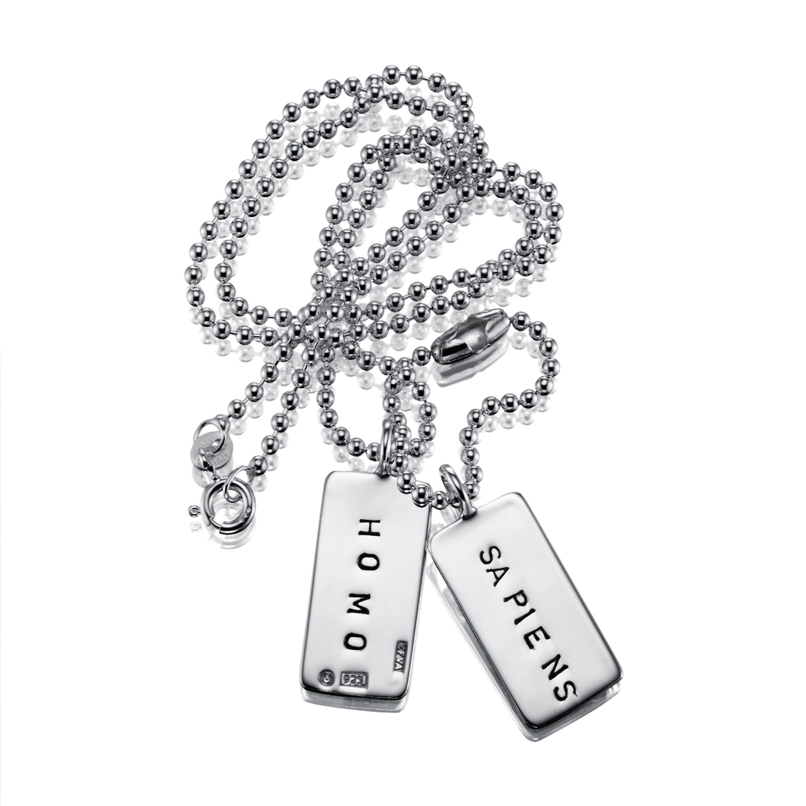 Homo Sapiens Tags bild 3