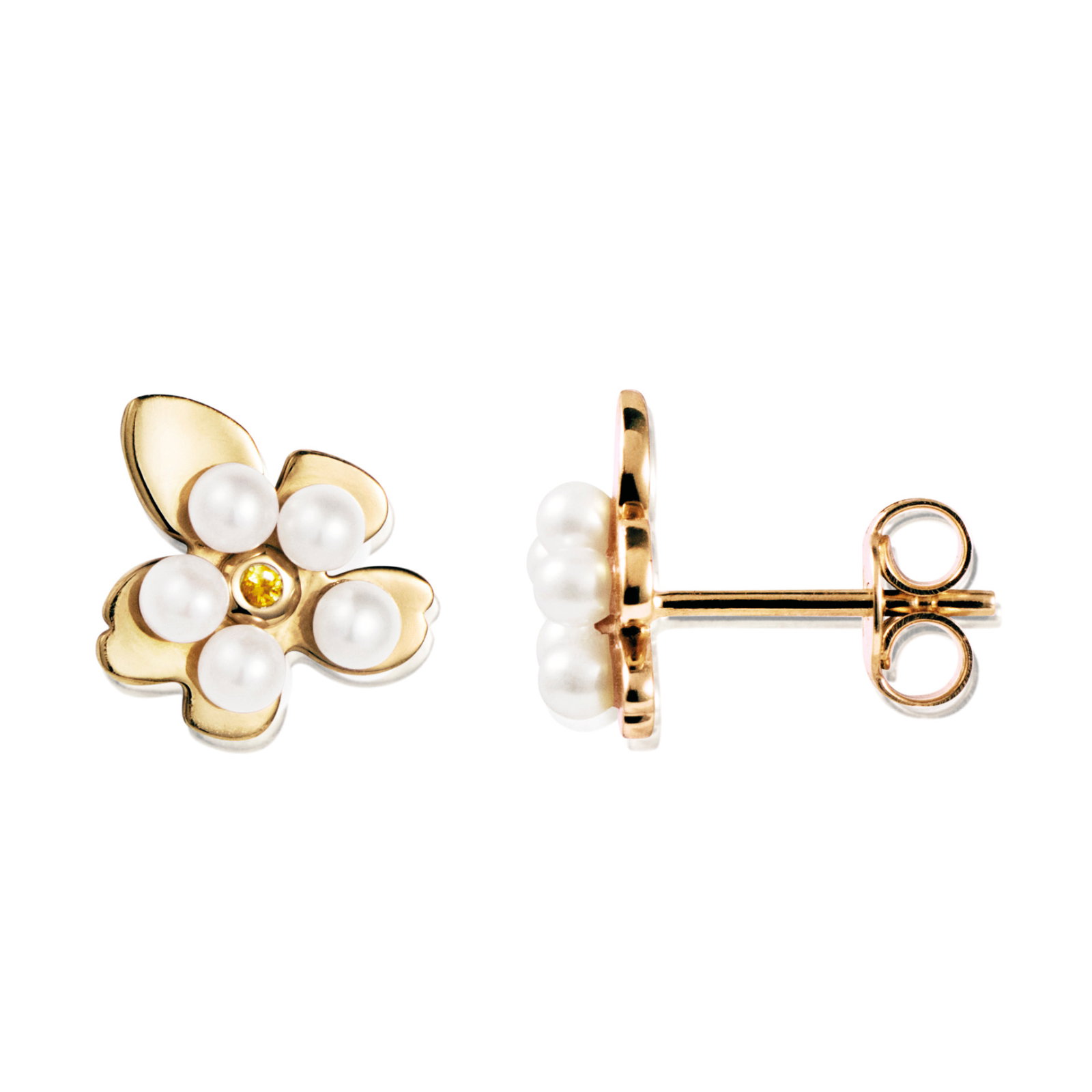 Förgätmigej Ear bild 3