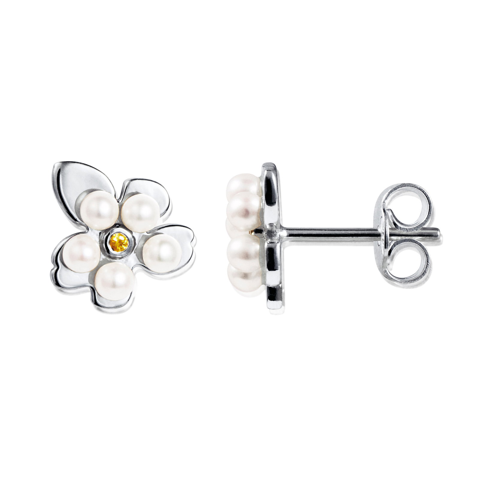 Förgätmigej Ear bild 4