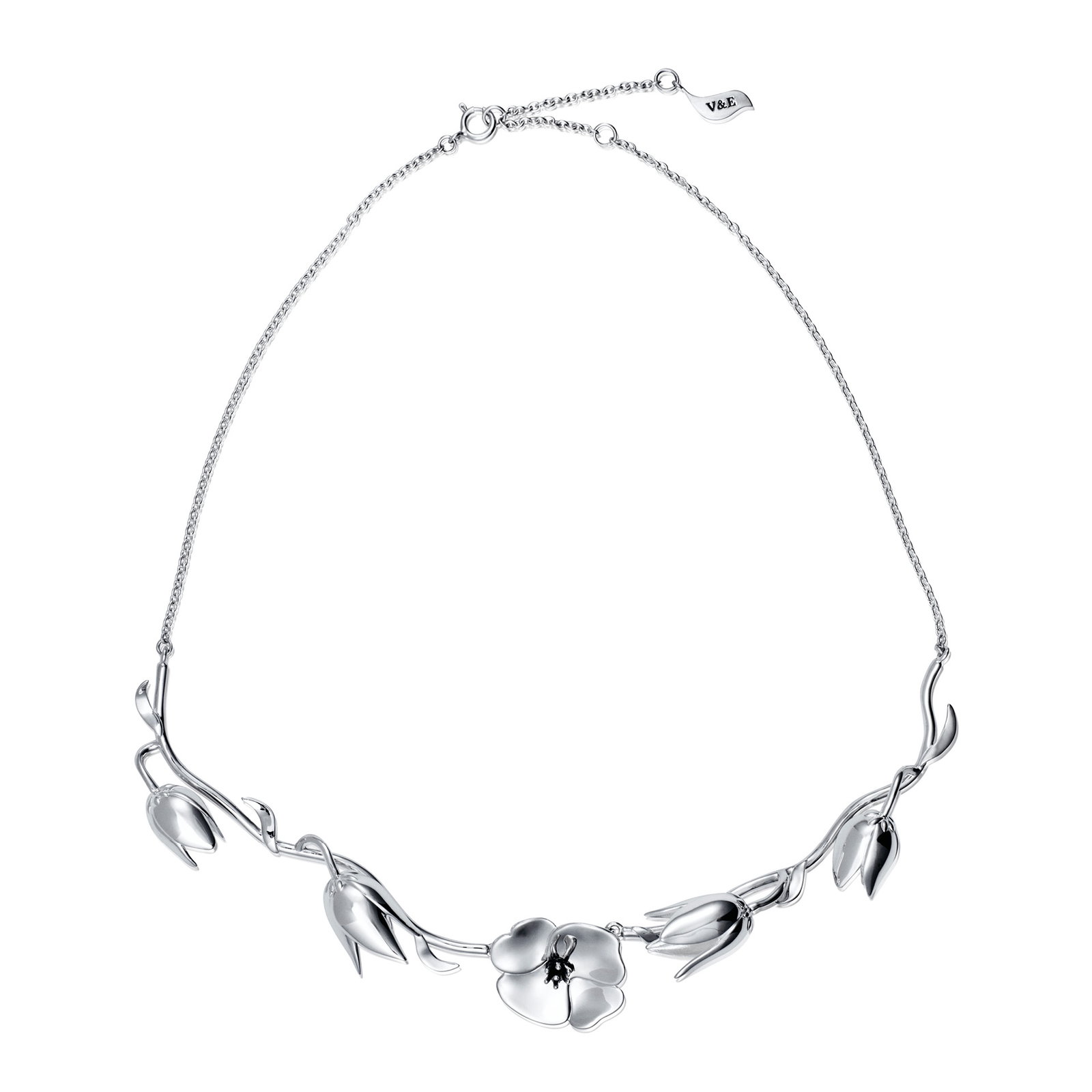 Helleborus Collier bild 4