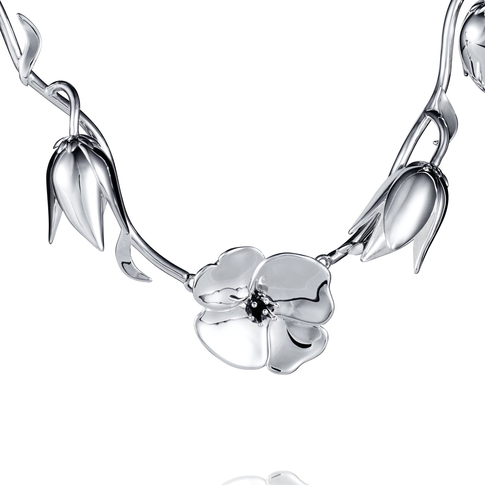 Helleborus Collier bild 5