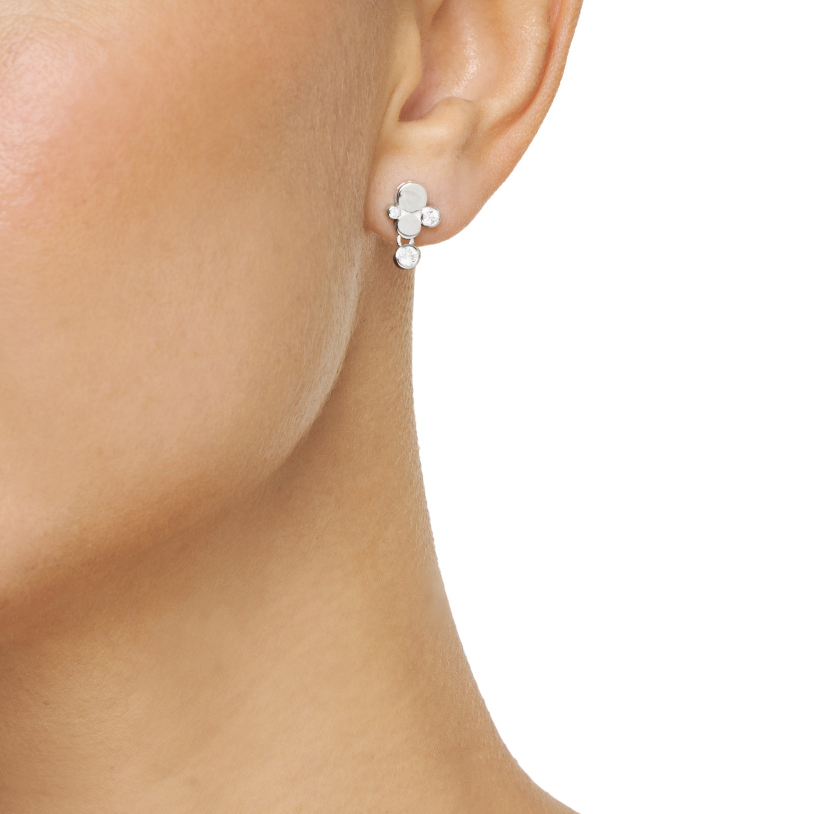 Little Champagne Ear bild 3